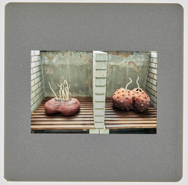 1997 Ceramics Degree Show Slide - Creator unknown