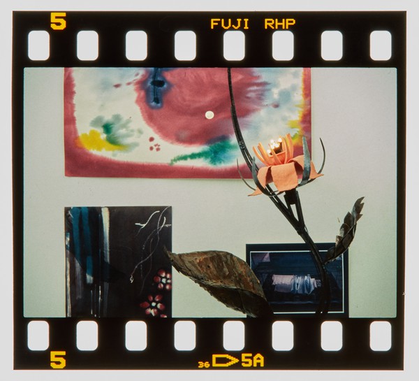 1999 BTEC Degree Show Slide - Creator unknown