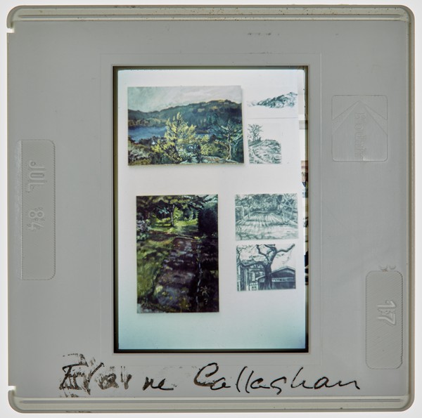 1984 2nd Year Degree Show Slide - 'Elaine Callaghan'