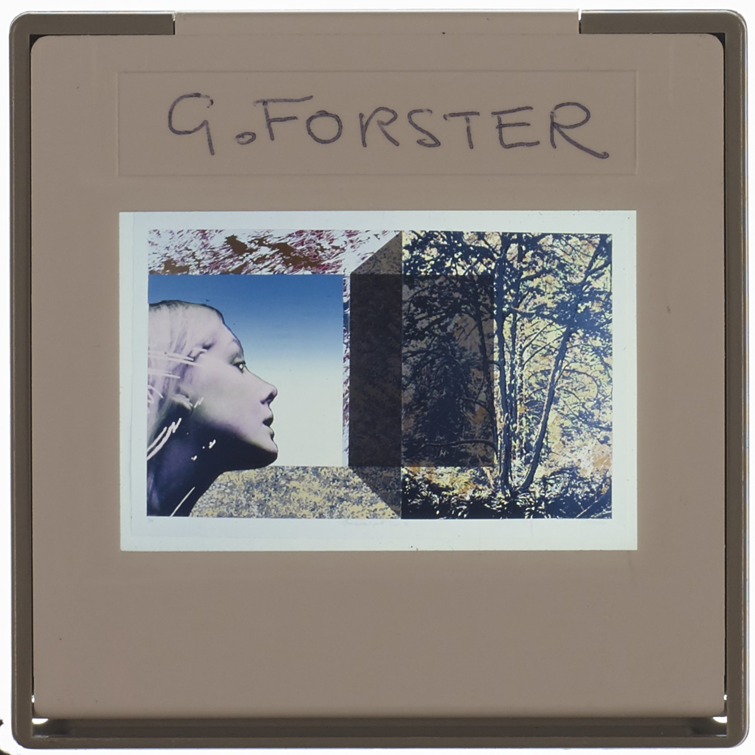 Undated Degree Show Slide - 'G Forster'