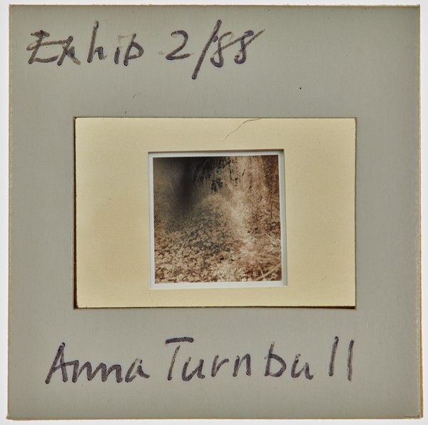 1988 BA Painting Exhibition Slide - 'Anna Turnbull'