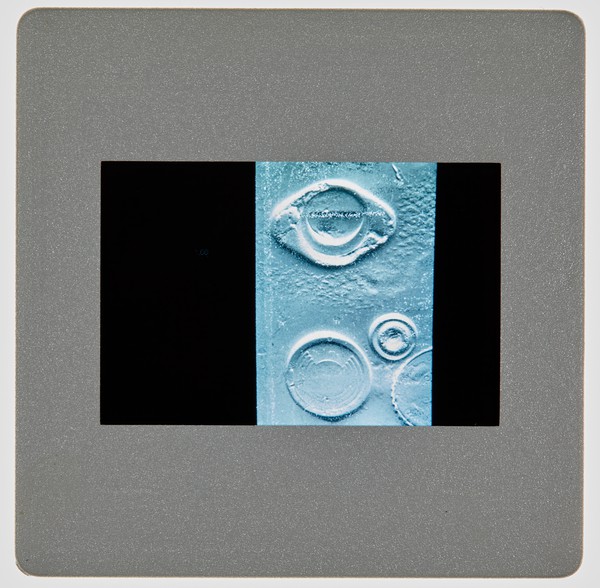 1997 Joint Honours Degree Show Slide - Creator unknown