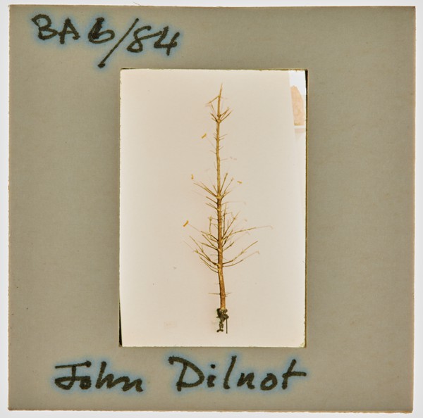 1984 BA Degree Show Slide - 'John Dilnot'
