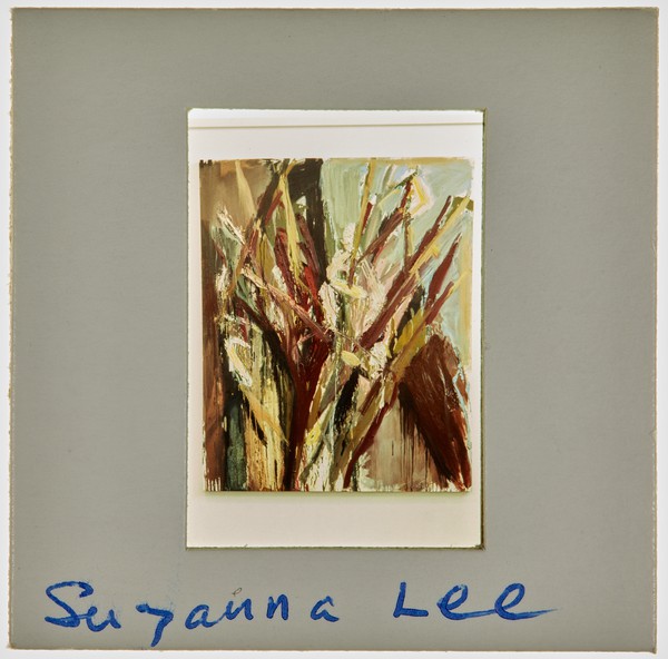 1988 BA Painting Degree Show Slide - 'Suzanne Lee'