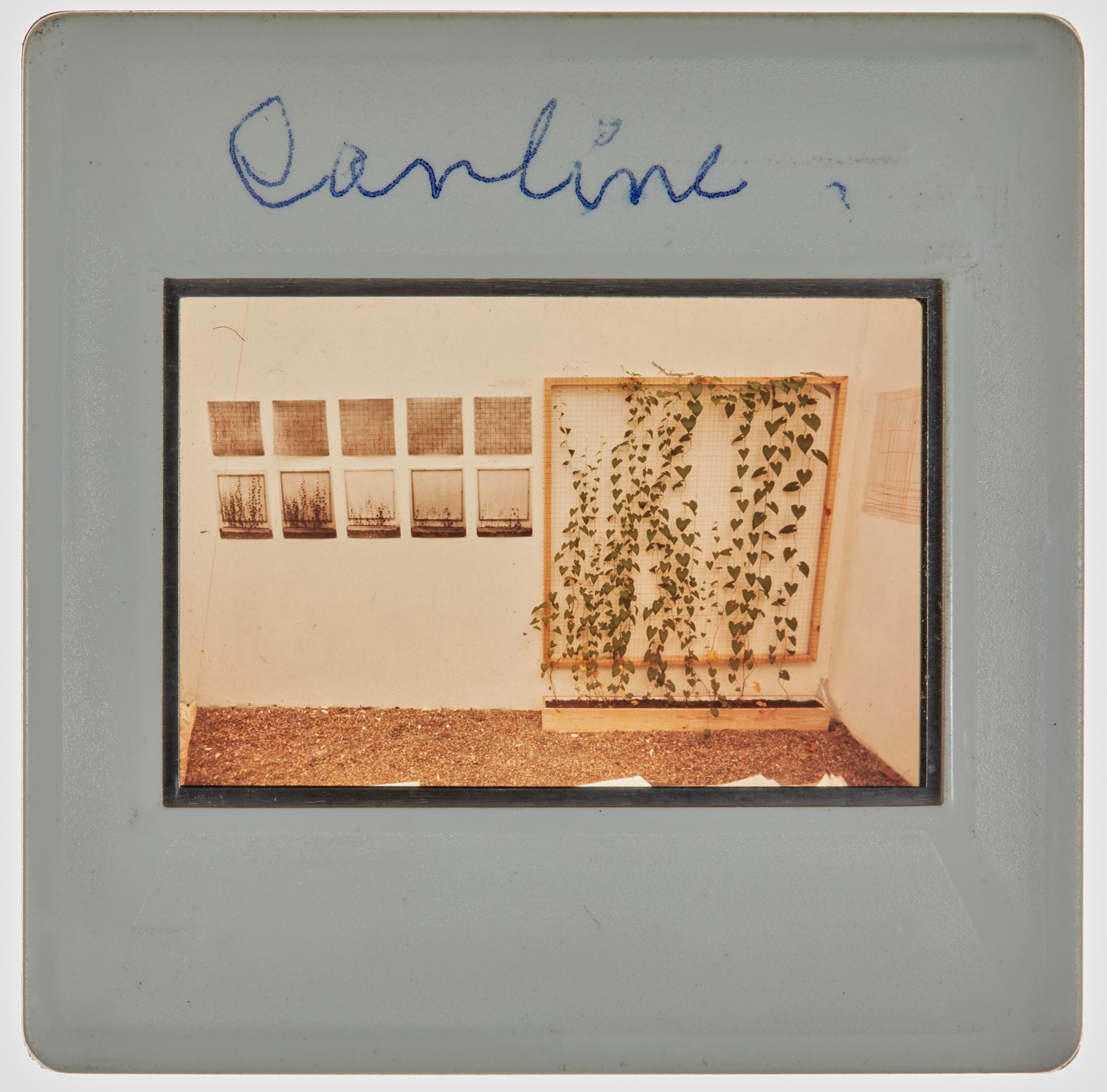 1974 Diploma Degree Show Slide - 'Caroline'