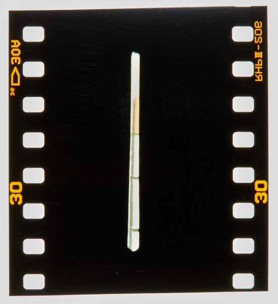 2001 BA Painting Degree Show Slide - Creator unknown