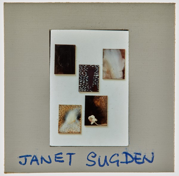 1989 BA Degree Show Slide - 'Janet Sugden'