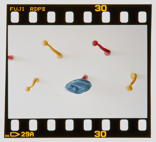 2001 Foundation Fine Art Degree Show Slide - Creator unknown