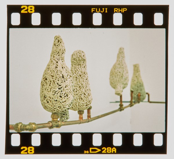 2000 Joint Honours Degree Show Slide - Creator unknown
