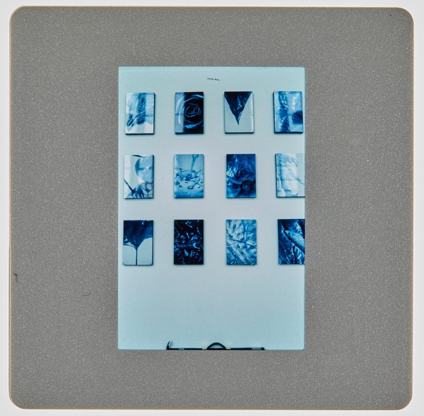 1997 Graphic Design Degree Show Slide - Creator unknown