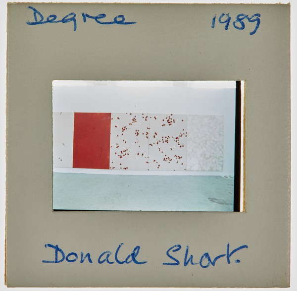 1989 BA Degree Show Slide - 'Donald Short'