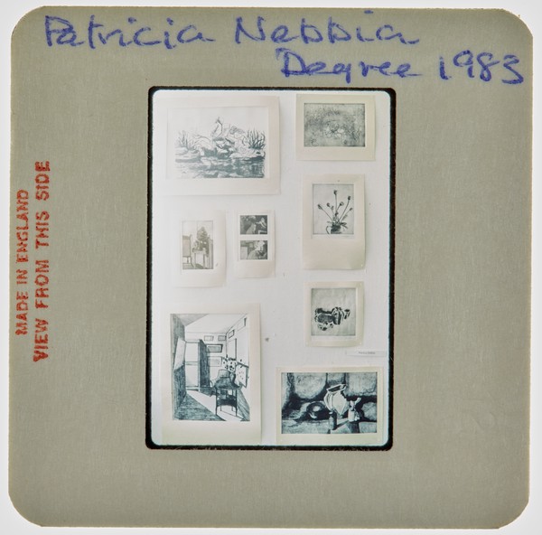 1983 BA Degree Show Slide - 'Patricia Nebbia'
