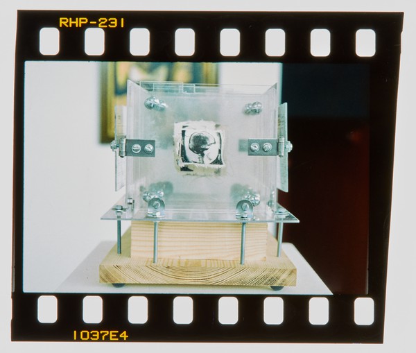 2000 Joint Honours Degree Show Slide - Creator unknown