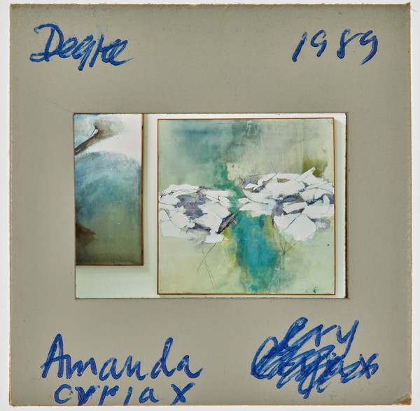 1989 BA Degree Show Slide - 'Amanda Cyriax'