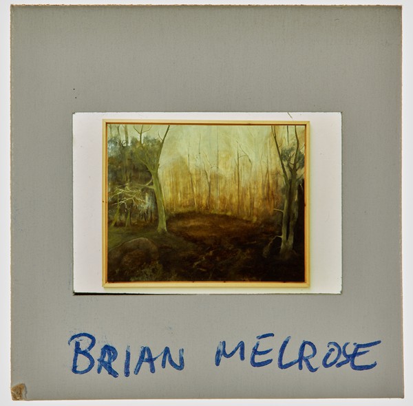 1989 BA Degree Show Slide - 'Brian Melrose'