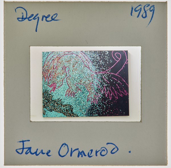 1989 BA Degree Show Slide - 'Jane Ormerod'