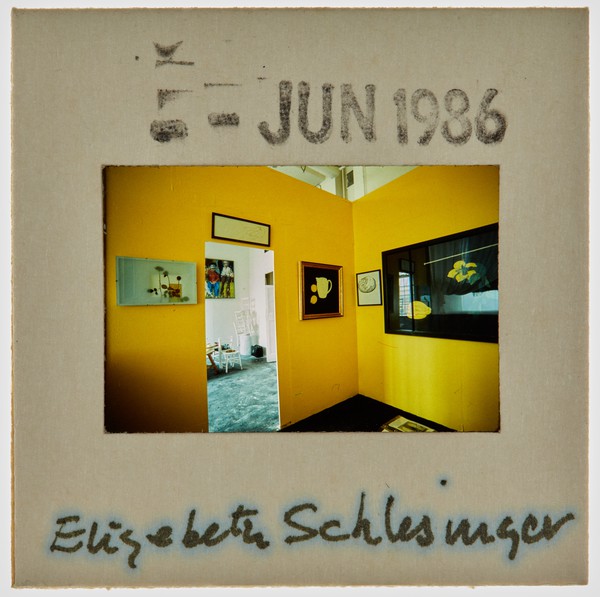 1986 BA Degree Show Slide - 'Elizabeth Schlesinger'