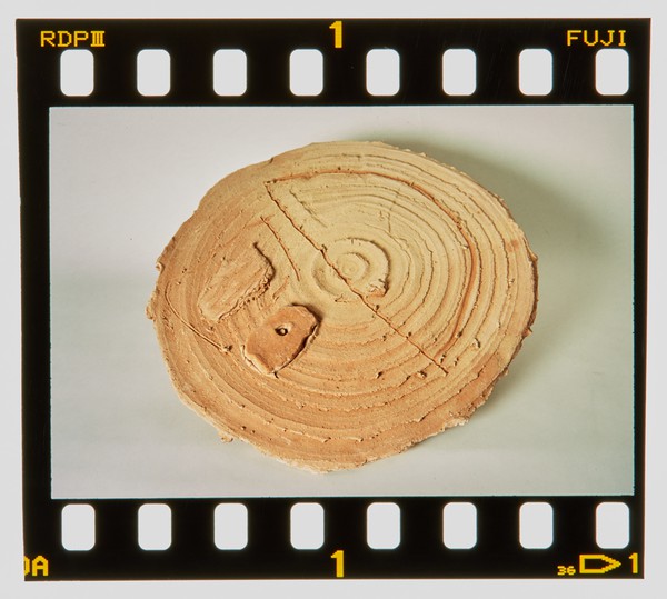 2001 BA Ceramics Degree Show Slide - Creator unknown