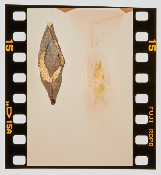 2001 Foundation Fine Art Degree Show Slide - Creator unknown