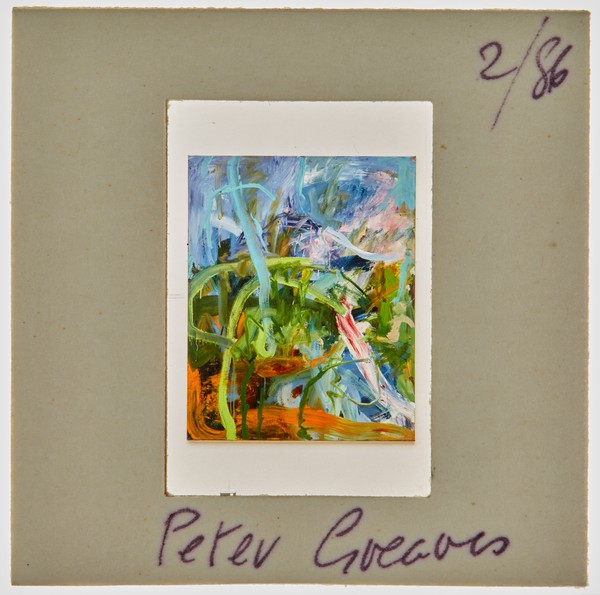 1986 South London Gallery Exhibition Slide - 'Peter Greaves'