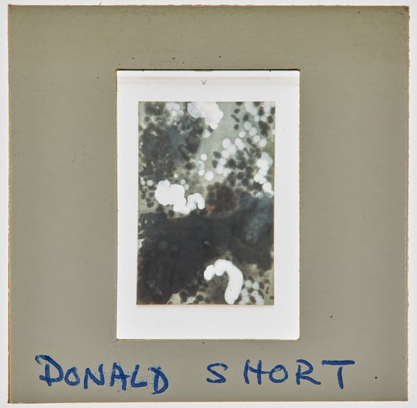 1989 BA Degree Show Slide - 'Donald Short'