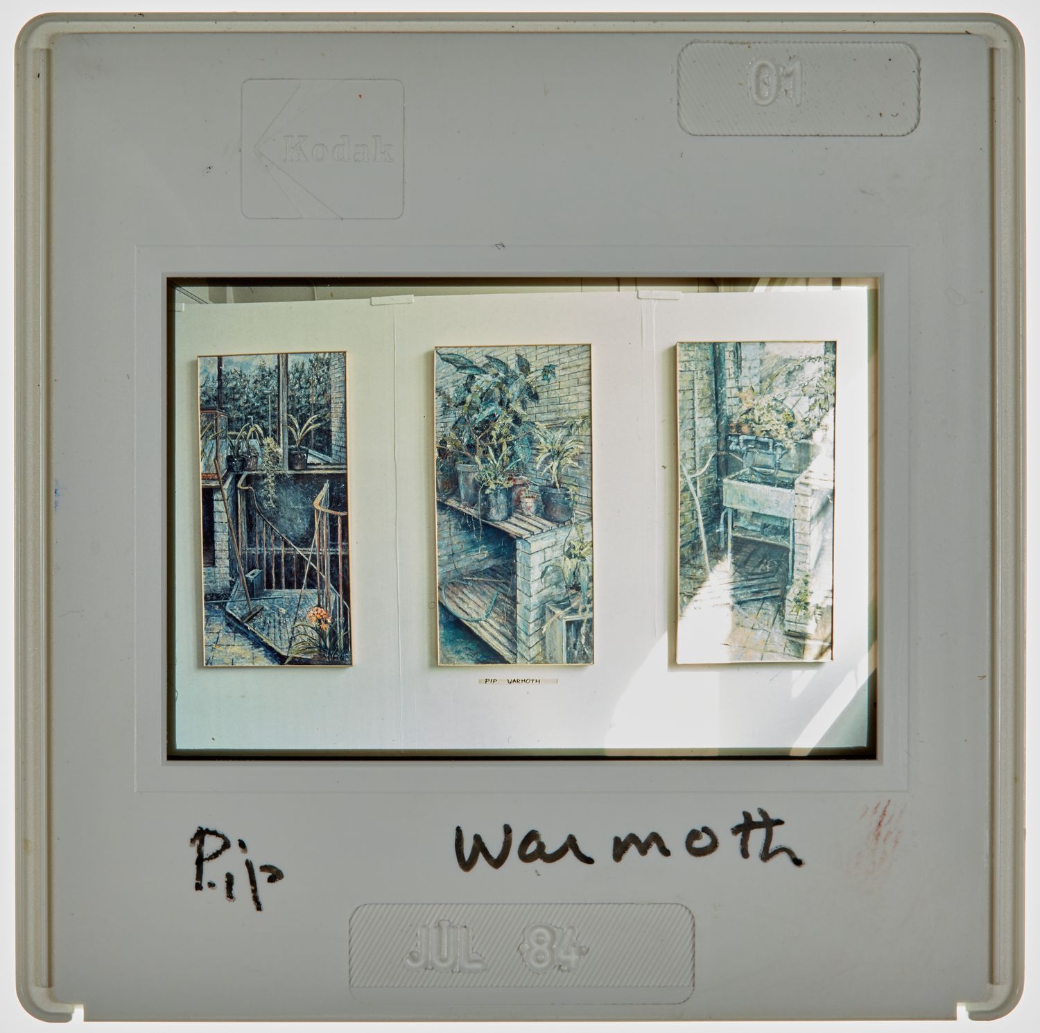 1984 2nd Year Degree Show Slide - 'Pip Warmoth'