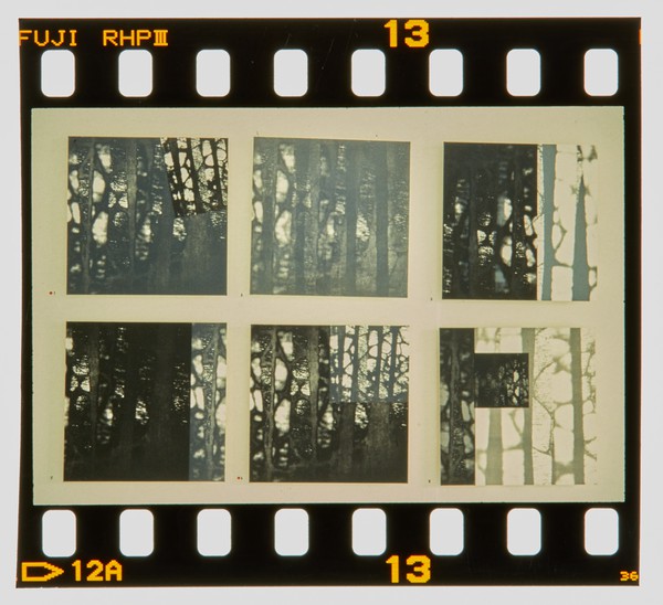 2001 MA Printmaking Degree Show Slide - Creator unknown