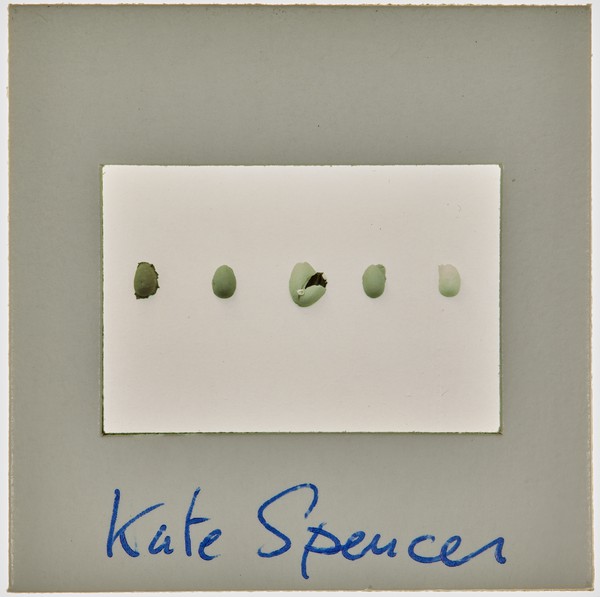 1988 BA Painting Degree Show Slide - 'Kate Spencer'