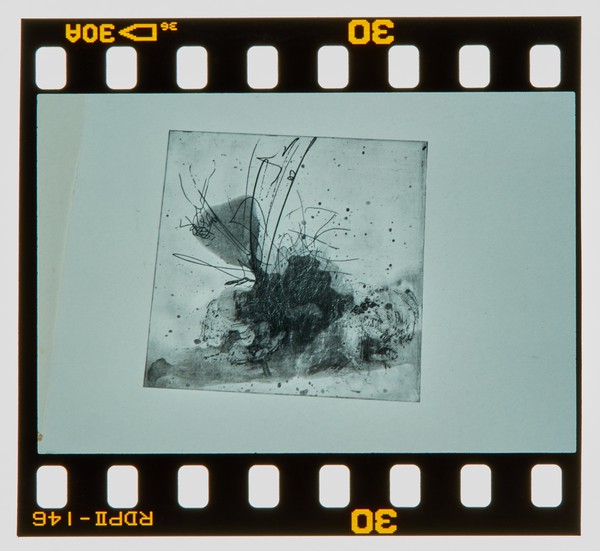 1999 Pre Degree Show Slide - Creator unknown