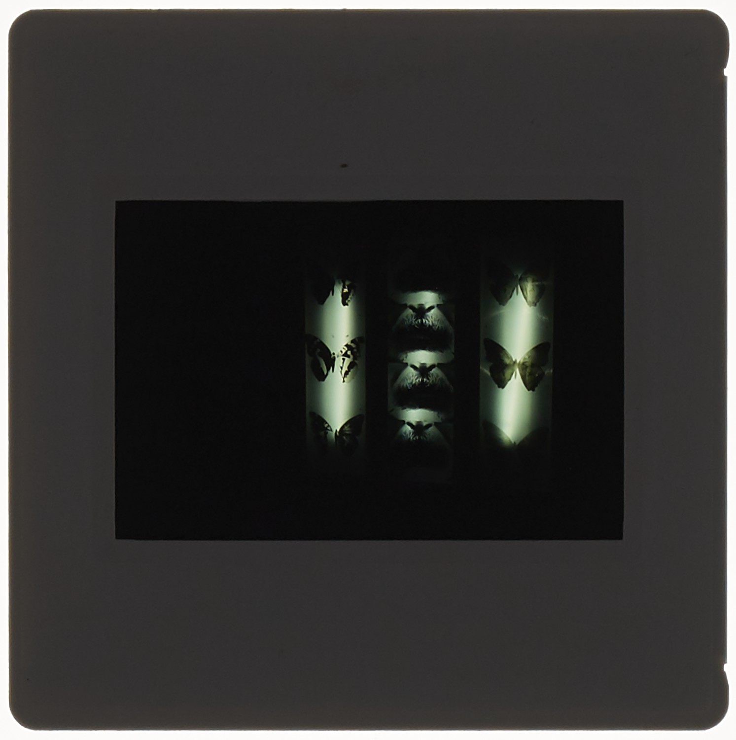 1991 MA Alternative Media Degree Show Slide - Creator unknown