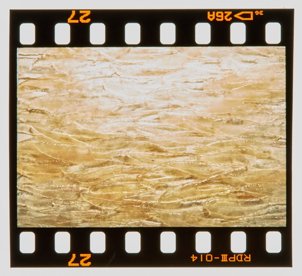 2001 BA Metalwork Degree Show Slide - Creator unknown