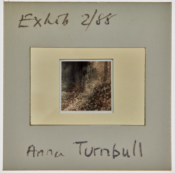 1988 BA Painting Exhibition Slide - 'Anna Turnbull'