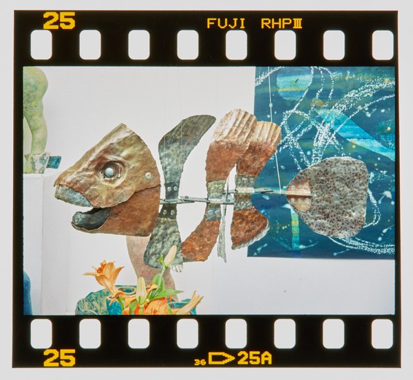 2001 BTEC Degree Show Slide - Creator unknown