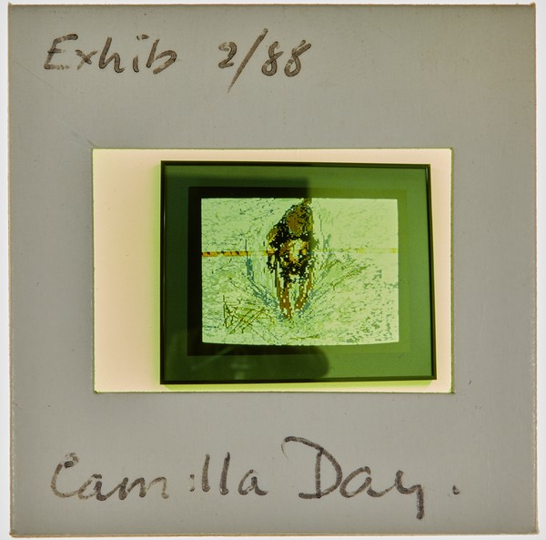 1988 BA Painting Exhibition Slide - 'Camilla Day'
