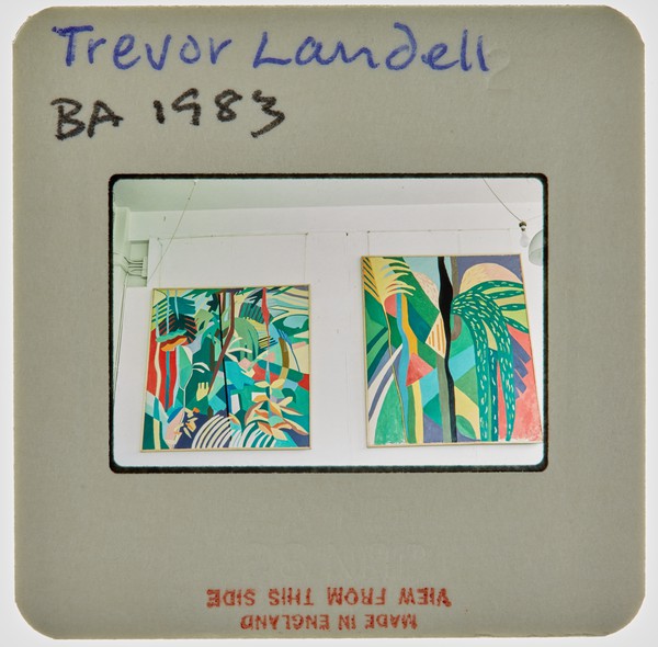 1983 BA Degree Show Slide - 'Trevor Landell'