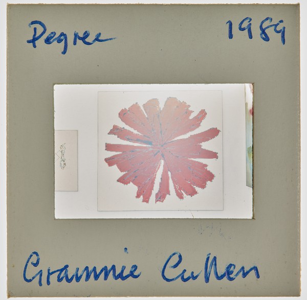 1989 BA Degree Show Slide - 'Grainne Cullen'