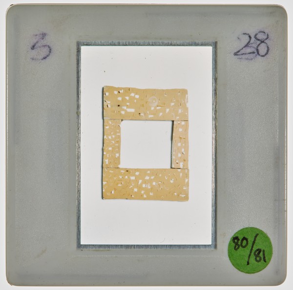 1981 1st Year 3D Design Major Task: Frames Slide - Creator unknown