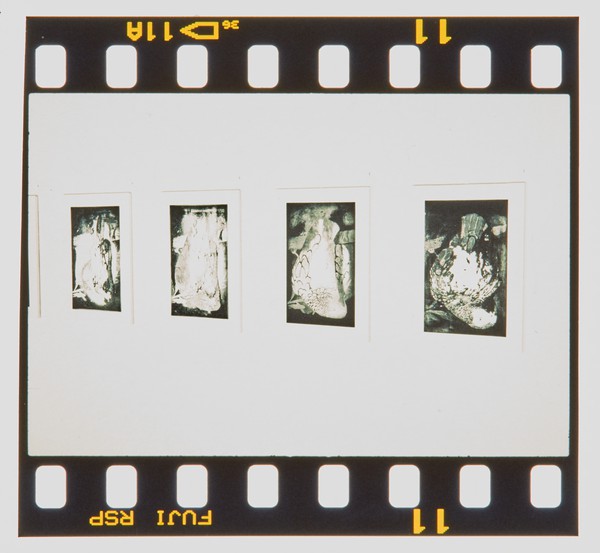 2000 MA Printmaking Part Time Degree Show Slide - Creator unknown