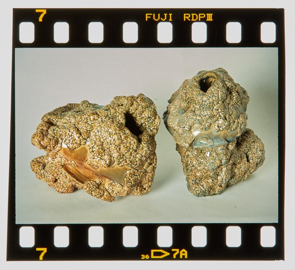 2001 BA Ceramics Degree Show Slide - Creator unknown