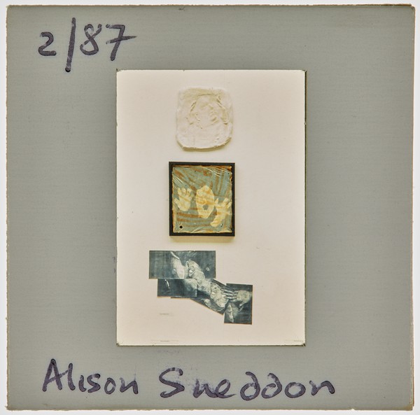1987 South London Gallery Exhibition Slide - 'Alison Sneddon'