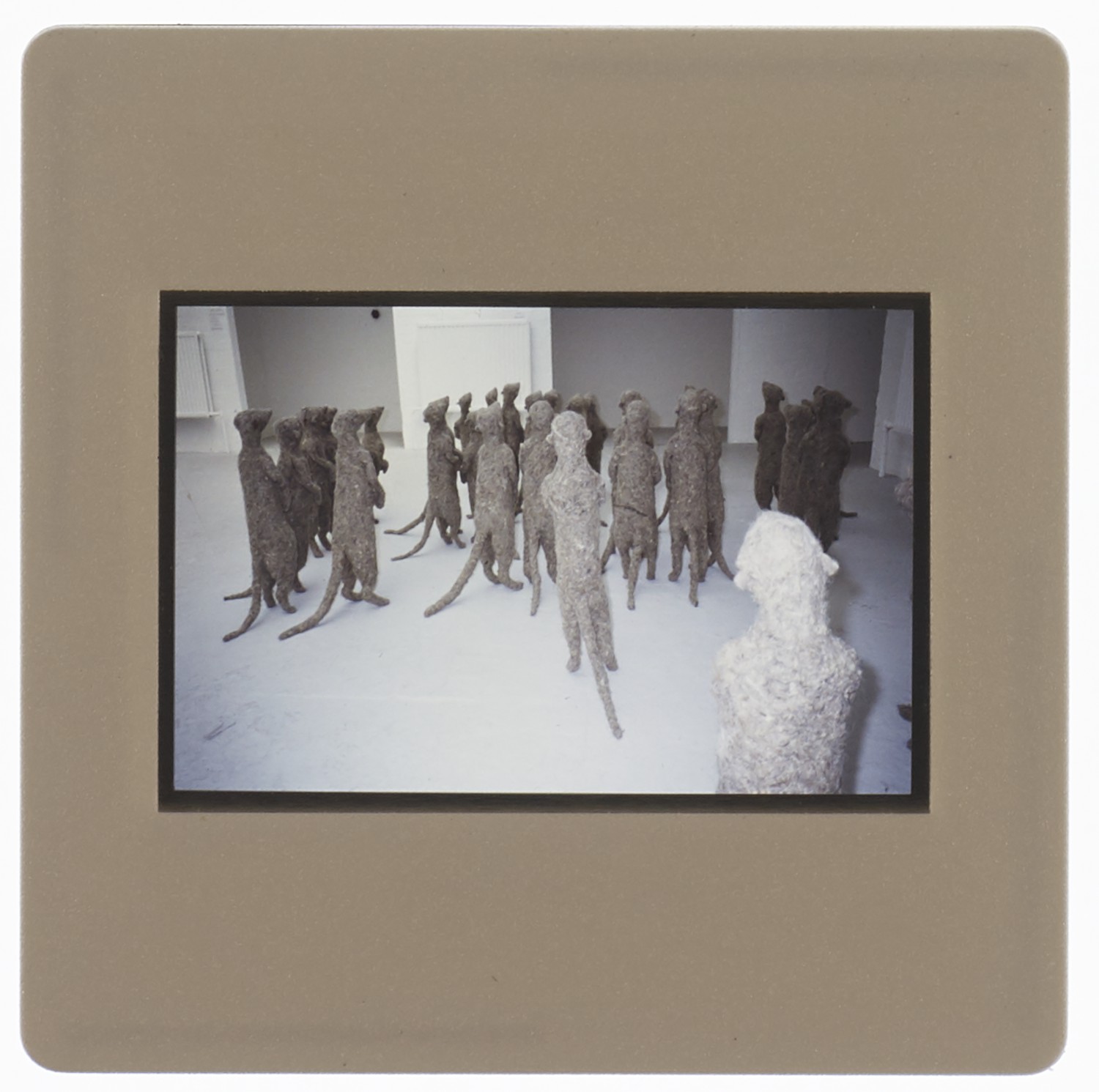 1997 Unknown Degree Show Slide - Creator unknown