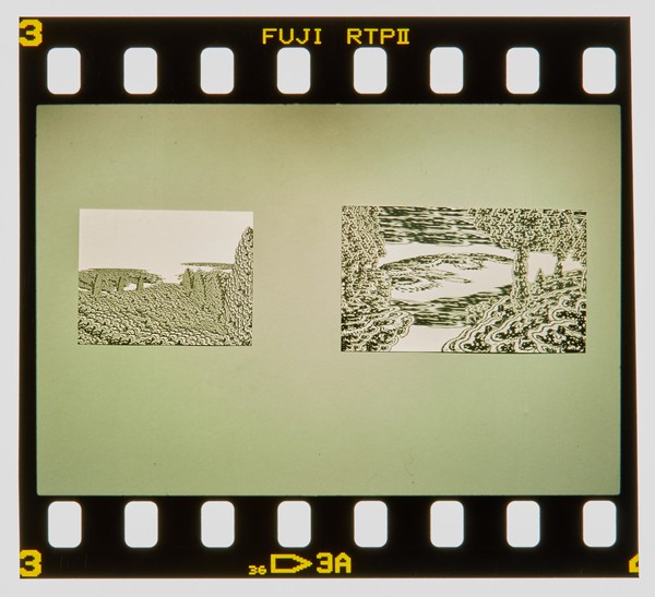 2001 BA Drawing Degree Show Slide - Creator unknown