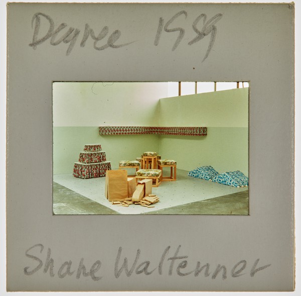1989 BA Degree Show Slide - 'Shane Waltener'