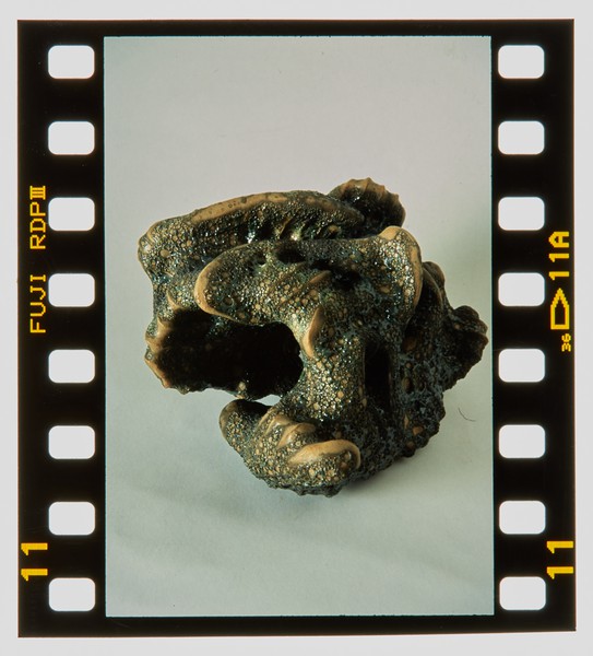 2001 BA Ceramics Degree Show Slide - Creator unknown