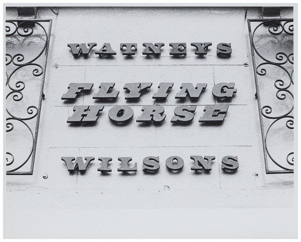 Flying Horse