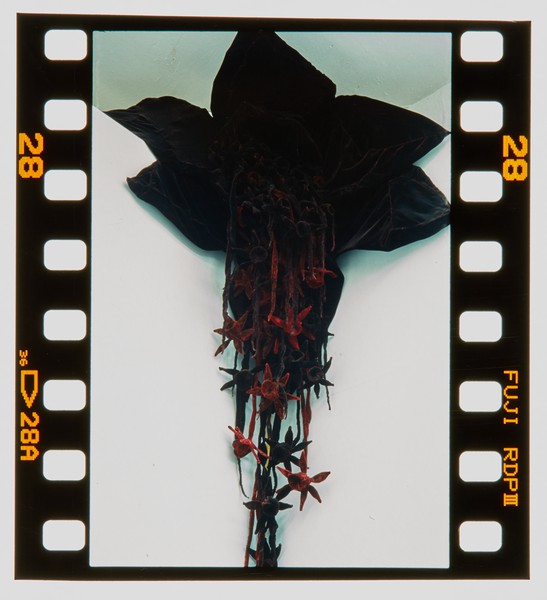 2001 BA Sculpture Degree Show Slide - Creator unknown