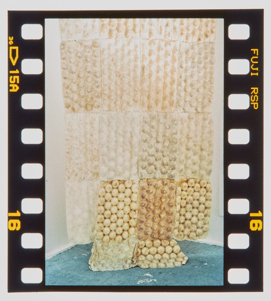 2001 Foundation Fine Art Degree Show Slide - Creator unknown