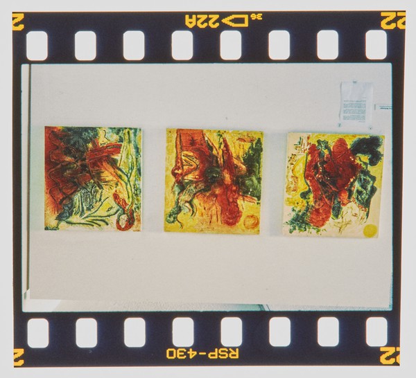 2000 Joint Honours Degree Show Slide - Creator unknown