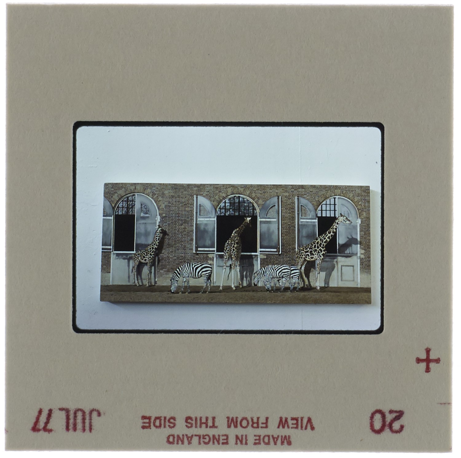 1977 Unlabelled Degree Show Slide - Creator unknown