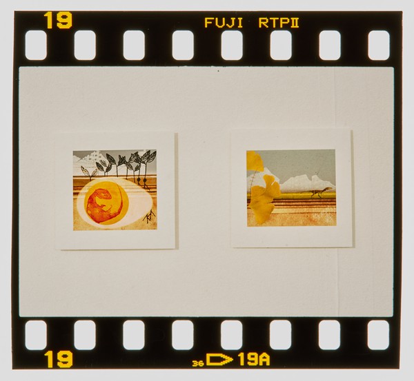 2000 BA(Hons) Graphic Design Degree Show Slide - Creator unknown